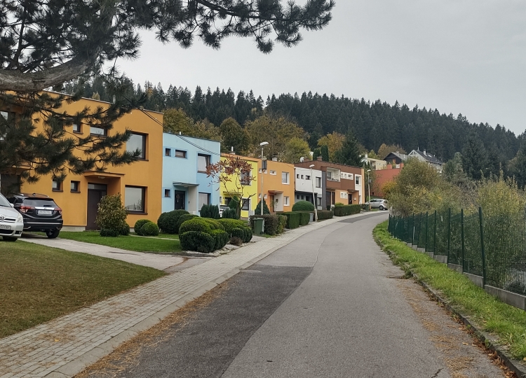 Medvede v Ružomberku. Aj na Satelitoch. Riaditeľ mestských lesov to neberie osobne (+)