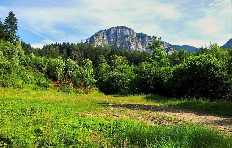 Príroda okolia Ružomberka: Zakázaná dolina